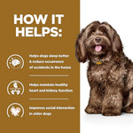 Load image into Gallery viewer, BD Dry Food for Dogs 12kg
