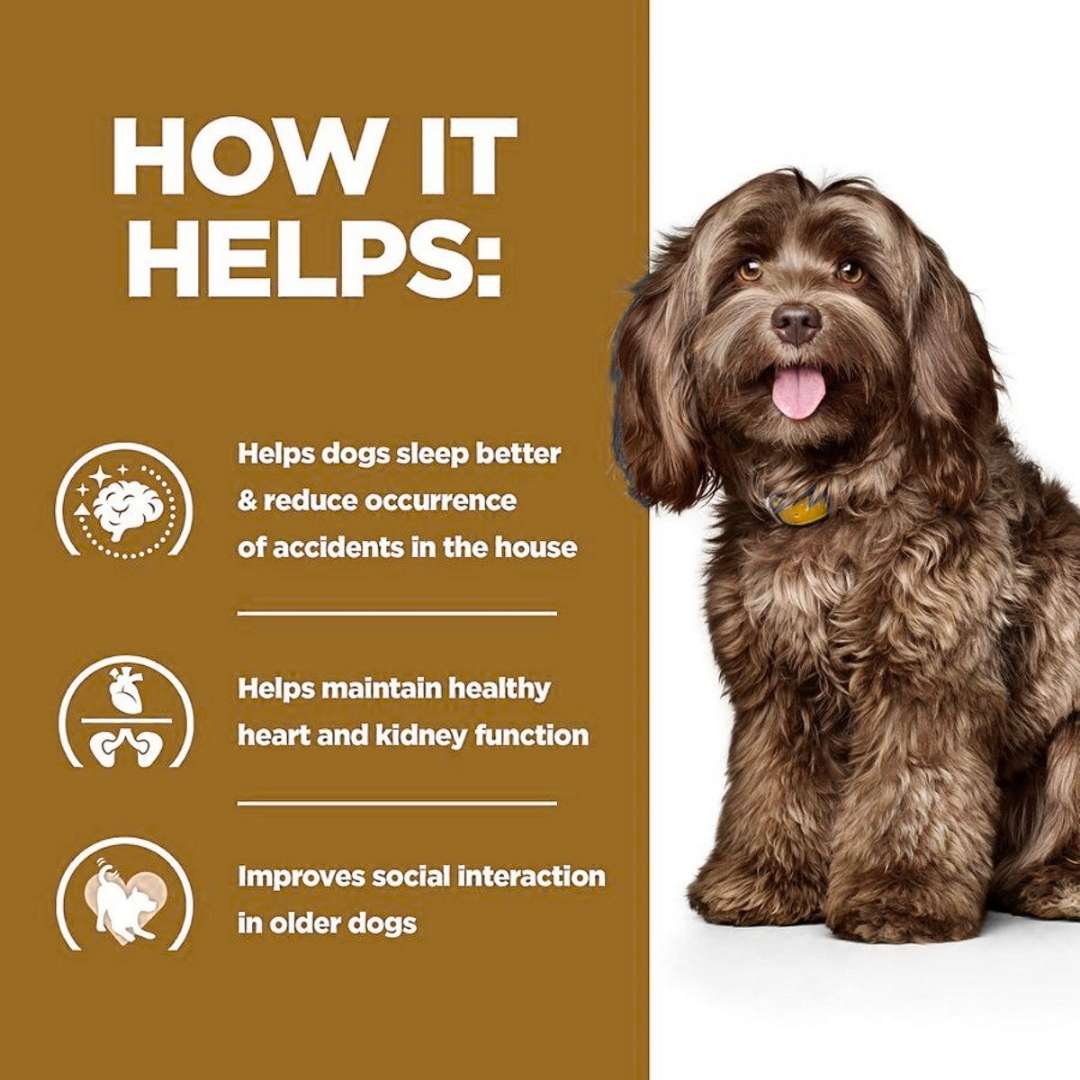 BD Dry Food for Dogs 12kg