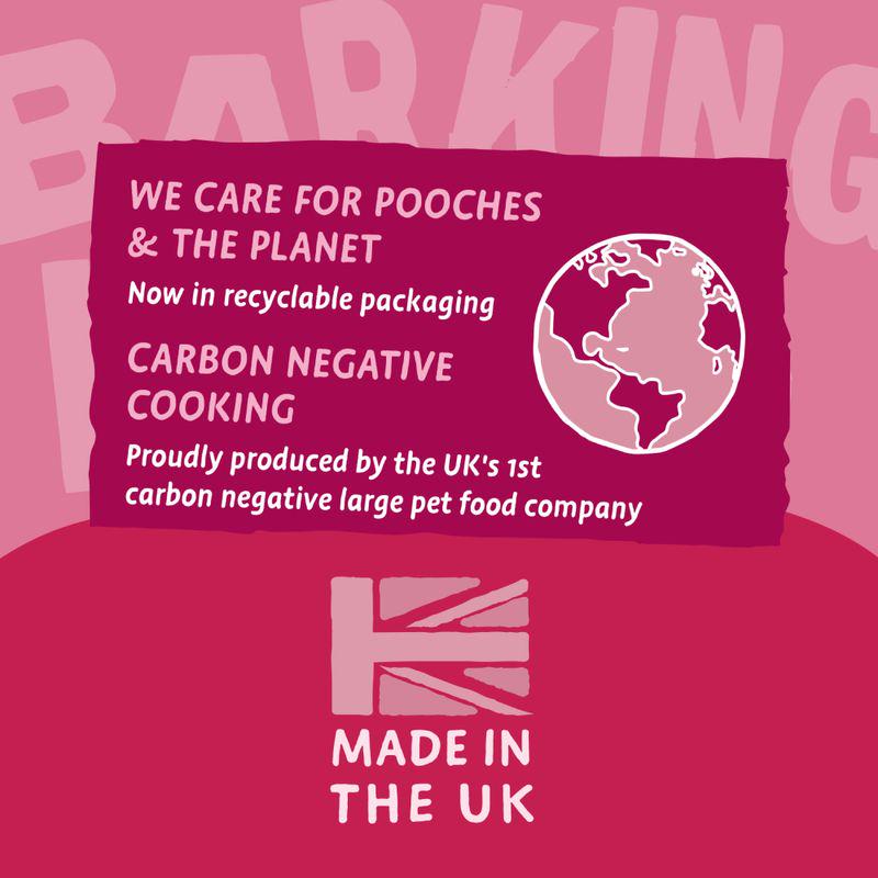 Barking Heads All Hounder Golden Years Chicken