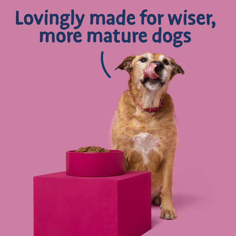 Barking Heads All Hounder Golden Years Chicken