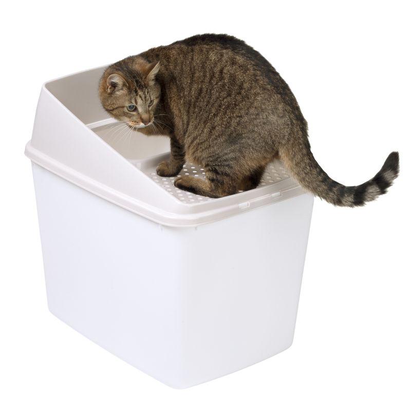 Big Box Cat Litter Tray