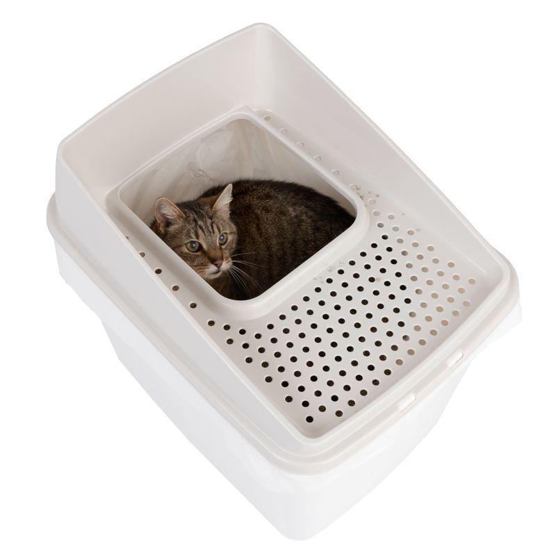 Big Box Cat Litter Tray