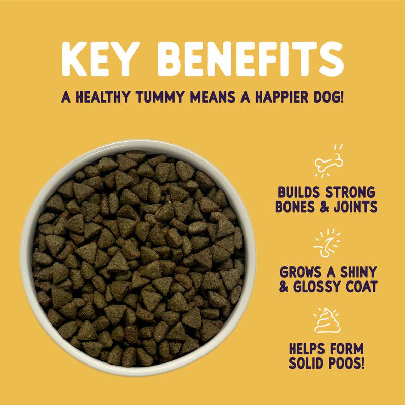 Burgess Sensitive Adult Dog Turkey