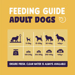 Load image into Gallery viewer, Burgess Sensitive Adult Dog Turkey
