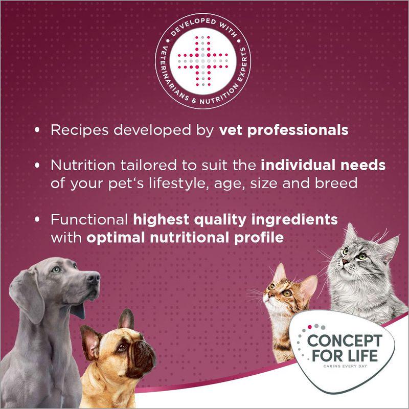 Concept for Life All Cats 10+