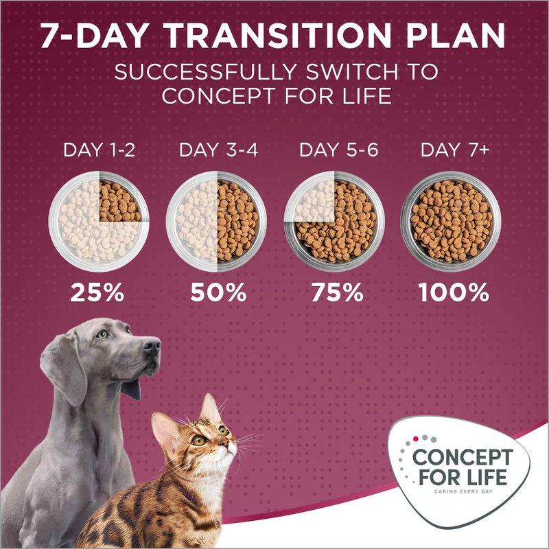 Concept for Life All Cats 10+