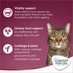 Load image into Gallery viewer, Concept for Life All Cats 10+
