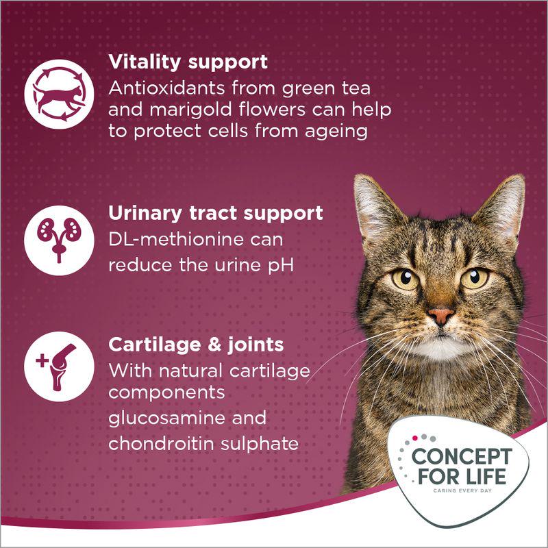 Concept for Life All Cats 10+