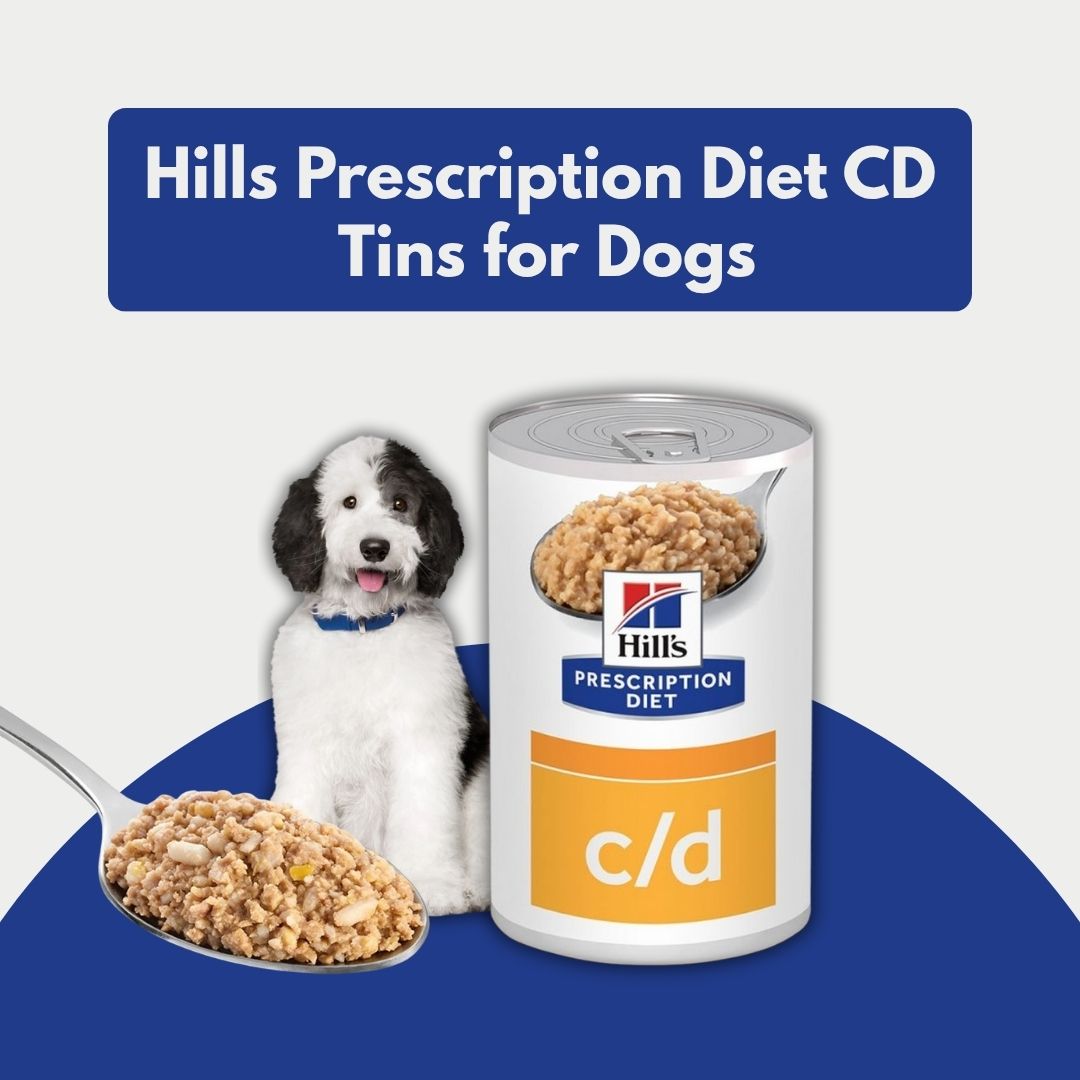 Hills Prescription Diet CD Tins for Dogs with a dog and spoonful of food on a blue background