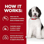 Load image into Gallery viewer, Dog with text explaining a product&#39;s benefits on a red and white background
