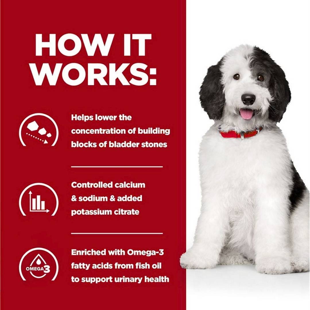 Dog with text explaining a product's benefits on a red and white background