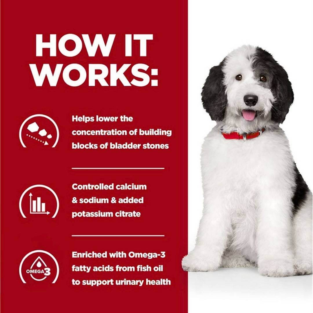 Dog with text explaining a product's benefits on a red background