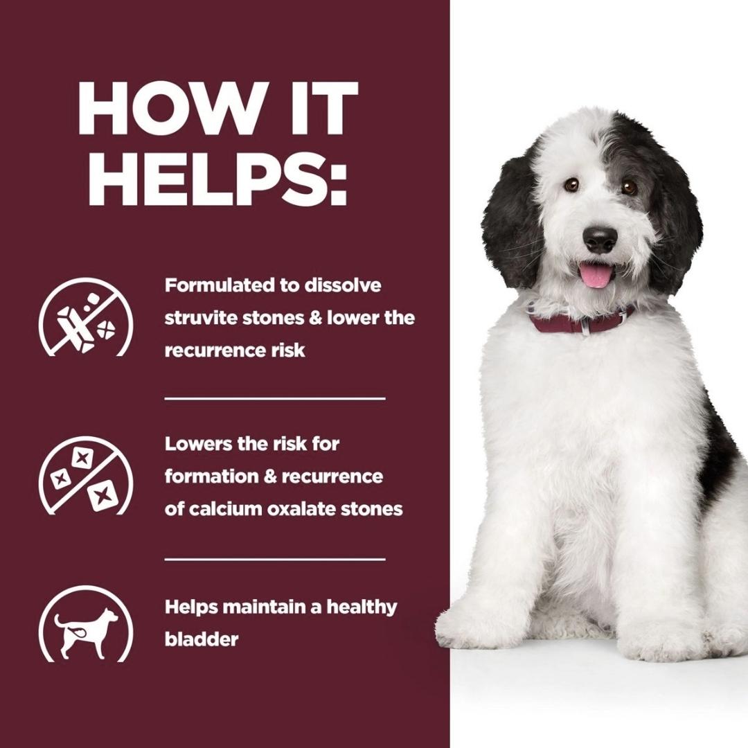 Dog with text on how it helps dissolve struvite stones and lower recurrence risk.