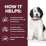 Load image into Gallery viewer, Dog with health benefits text on a red background
