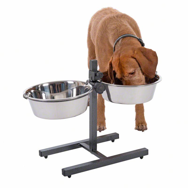 Dog Bowl Stand with 2 Stainless Steel Bowls