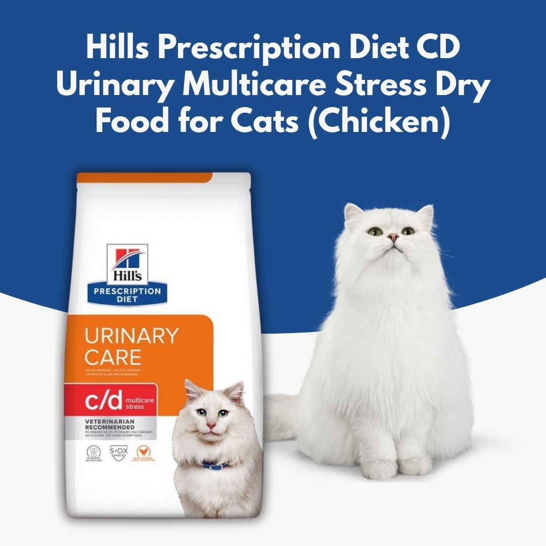 Hills Prescription Diet CD Urinary Multicare Stress Dry Food for Cats with a white cat on a blue background