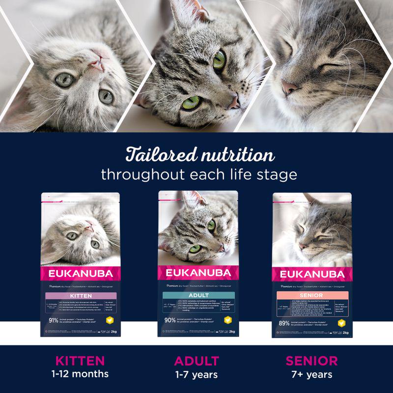 Eukanuba Healthy Start Kitten
