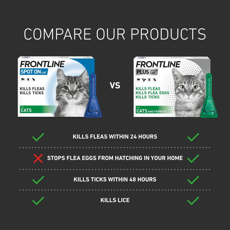 FRONTLINE® Spot On for Cats