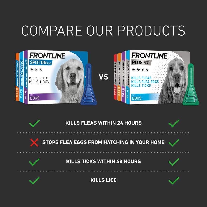FRONTLINE® Spot On for Dogs - M (10-20kg)