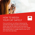 Load image into Gallery viewer, FRONTLINE® Wormer Tablets for Cats
