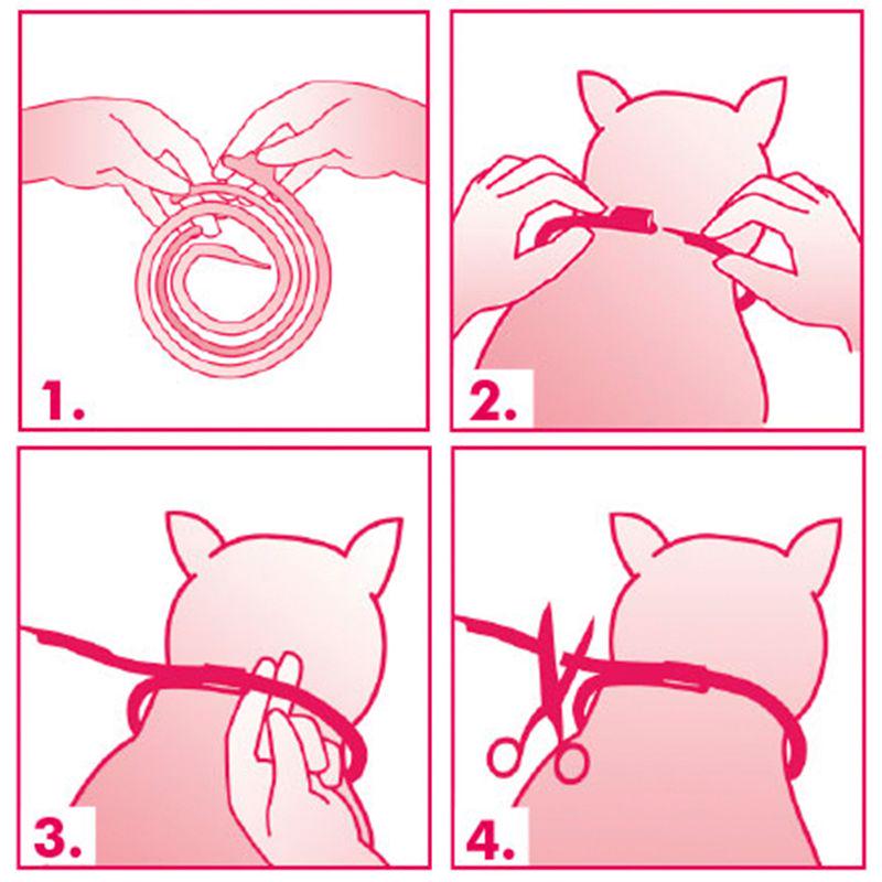 Felisept Home Comfort Calming Collar