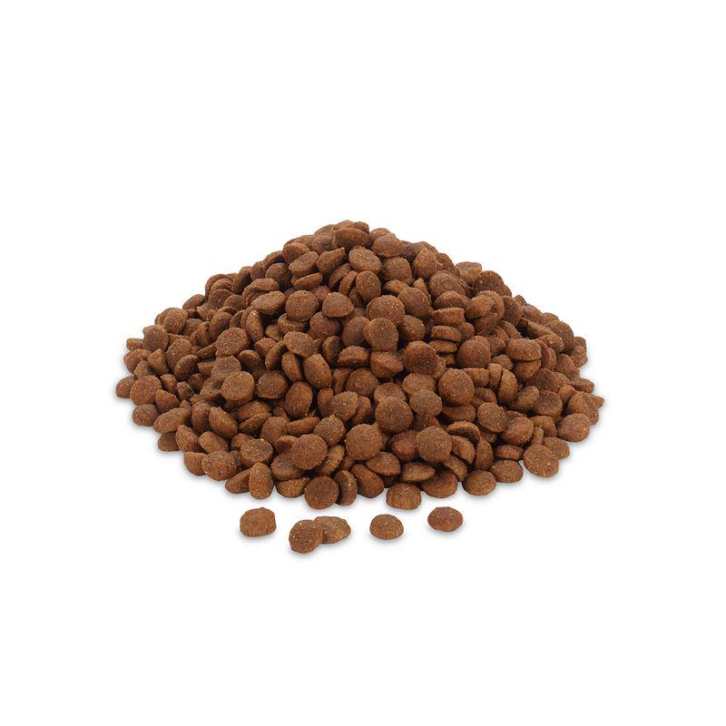 Feringa Adult Classic Duck