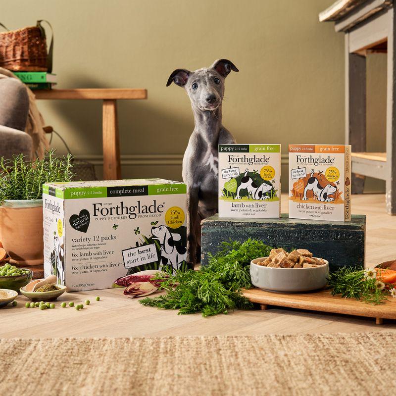 Forthglade Complete Meal Grain Free Puppy Dog - Lamb and Chicken