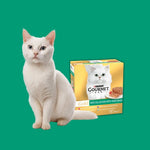 Load image into Gallery viewer, White cat sitting next to a box of Purina Gourmet Gold cat food on a green background
