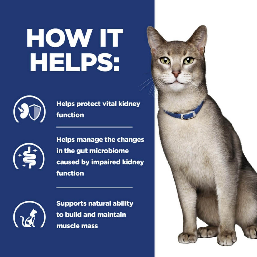 Cat with a blue collar on a white background, next to text about kidney health benefits.