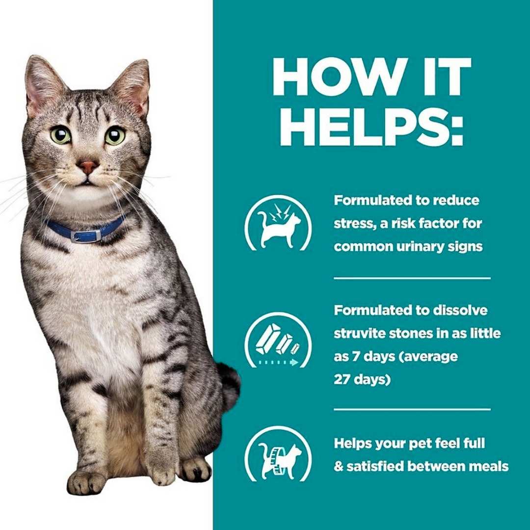 Cat with a blue collar on a white background, next to text about pet product benefits on a teal background.