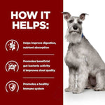 Load image into Gallery viewer, Dog sitting next to a red panel with text about health benefits on a white background
