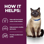 Load image into Gallery viewer, Cat wearing a blue collar with text on a purple background
