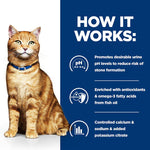 Load image into Gallery viewer, Hill&#39;s Prescription Diet Feline c/d Multicare Urinary Care - Chicken
