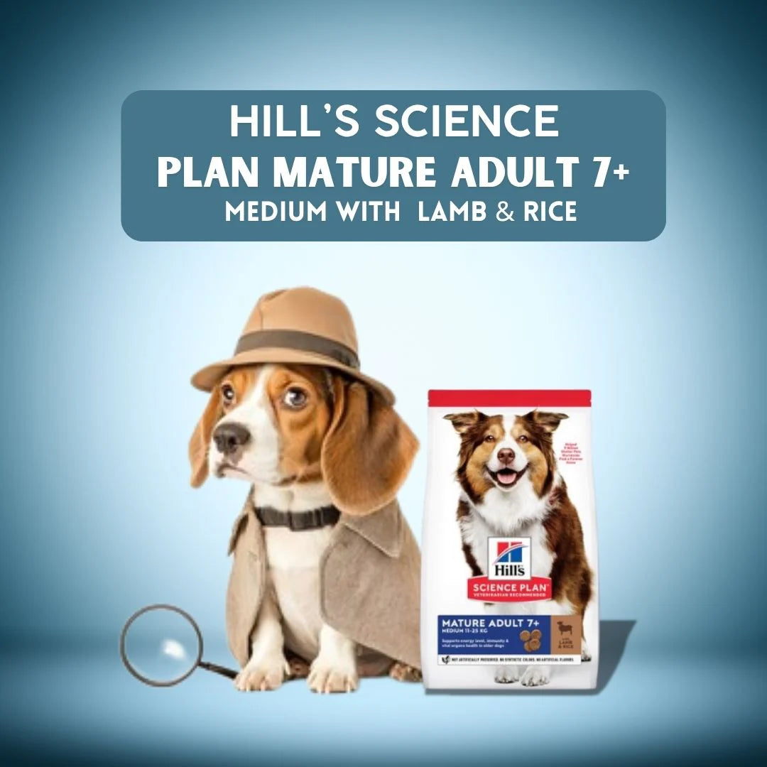 Dog wearing a hat with a Hills Science Plan dog food package on a blue background