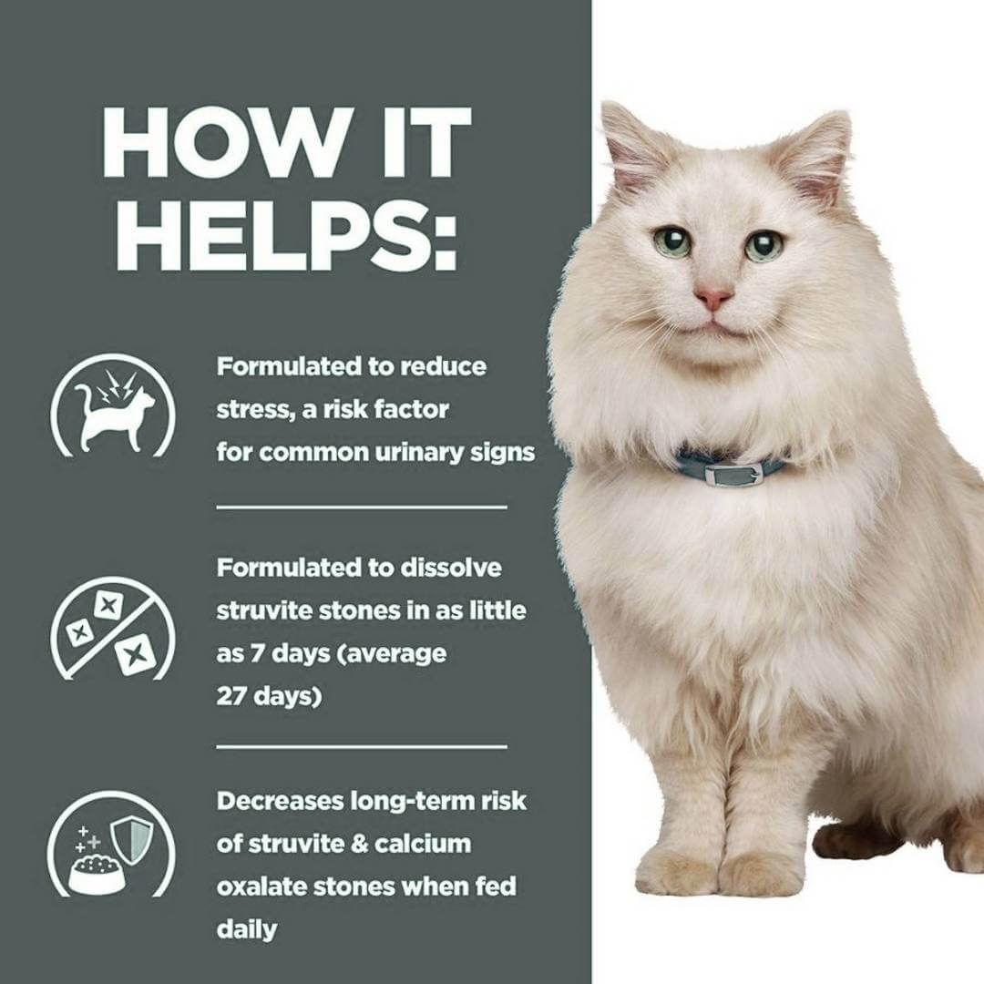 White cat with a product label on a gray background