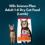 Hills Science Plan Adult 1-6 Dry Cat Food package with a cat on a blue background