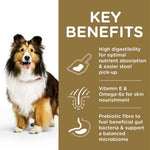 Load image into Gallery viewer, Dog with key benefits of a pet product on a brown background
