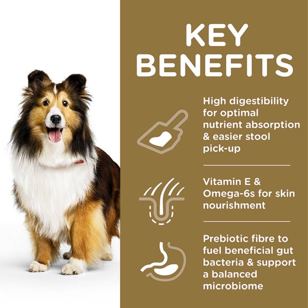 Dog with key benefits of a pet product on a brown background