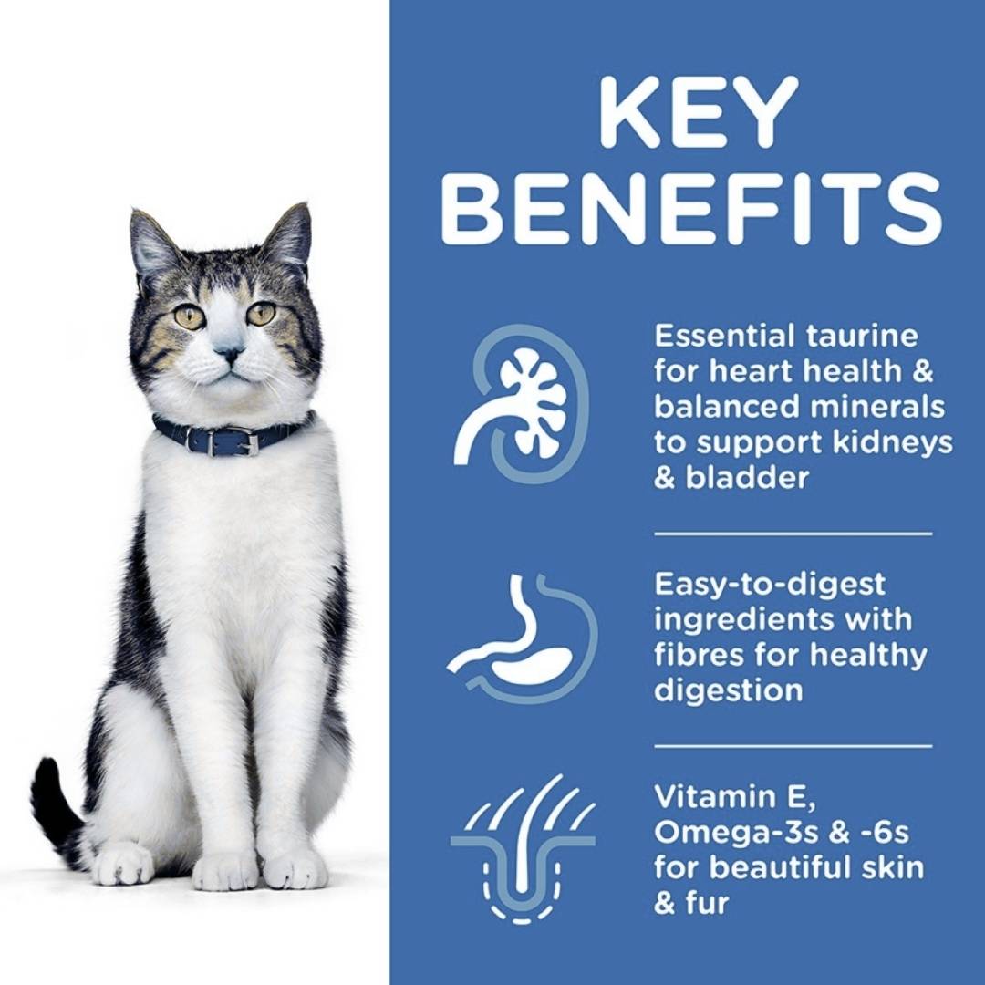 Cat with key benefits listed on a blue background