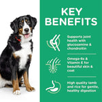 Load image into Gallery viewer, Dog with key benefits of a pet food product on a green background
