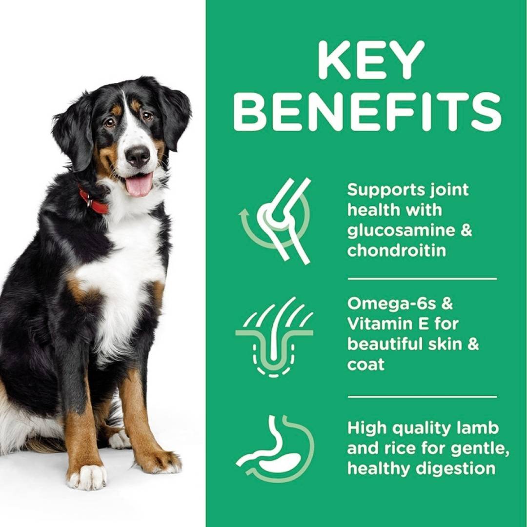 Dog with key benefits of a pet food product on a green background