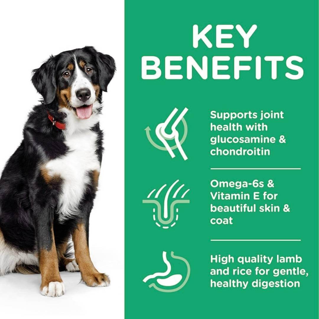 Dog with key benefits of a pet food product on a green background