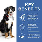 Load image into Gallery viewer, Hills Science Plan Adult 1-5 Large Breed Dry Dog Food (Lamb) 14kg
