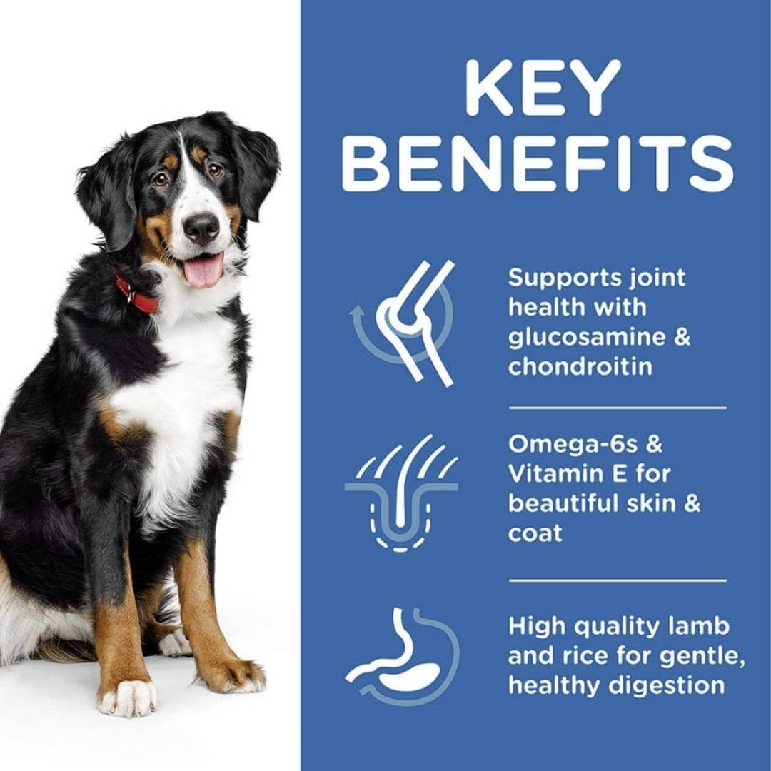 Dog with key benefits text on a blue background