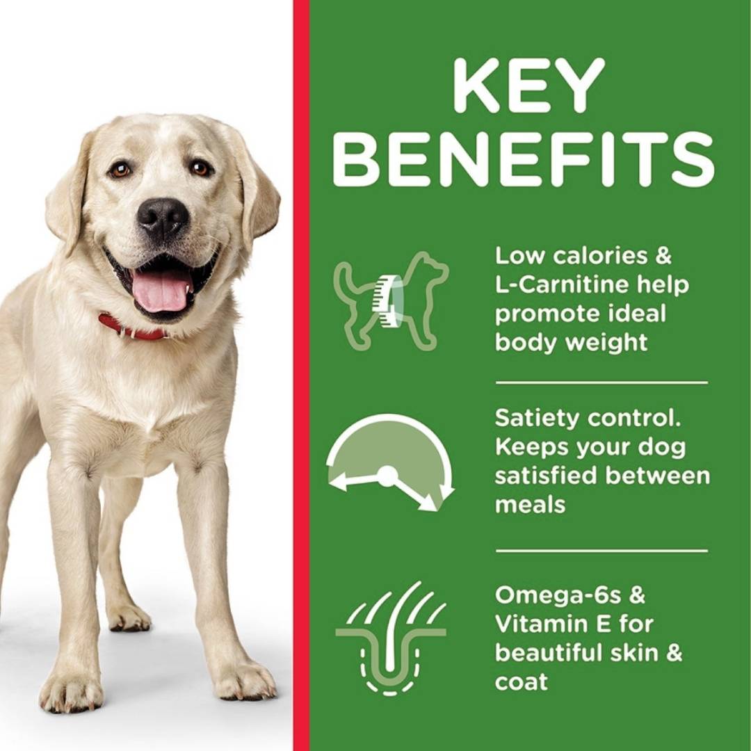 Hill's Science Plan Light Adult 1-5 Large Breed Dry Dog Food (Chicken)