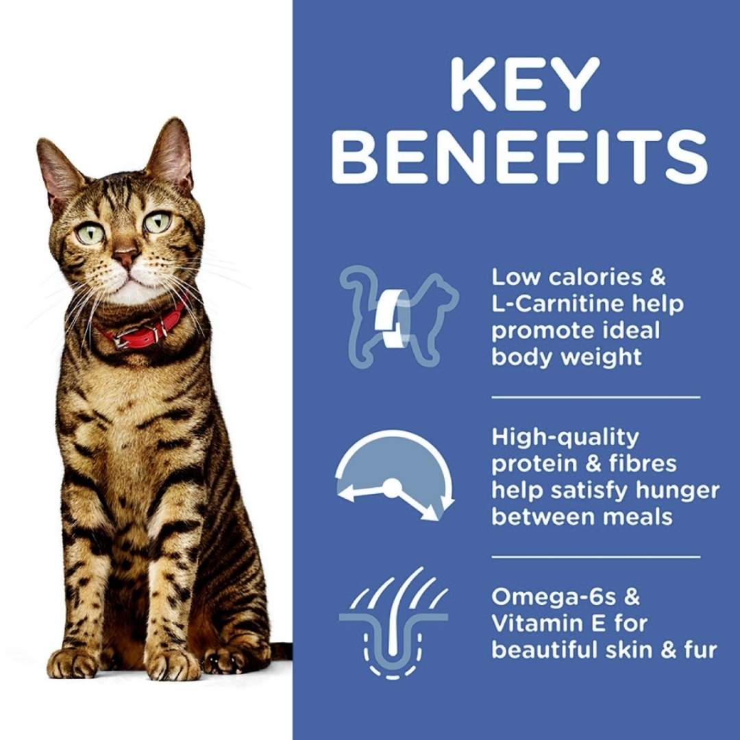 Hill's Science Plan Light Adult Dry Cat Food (Chicken)