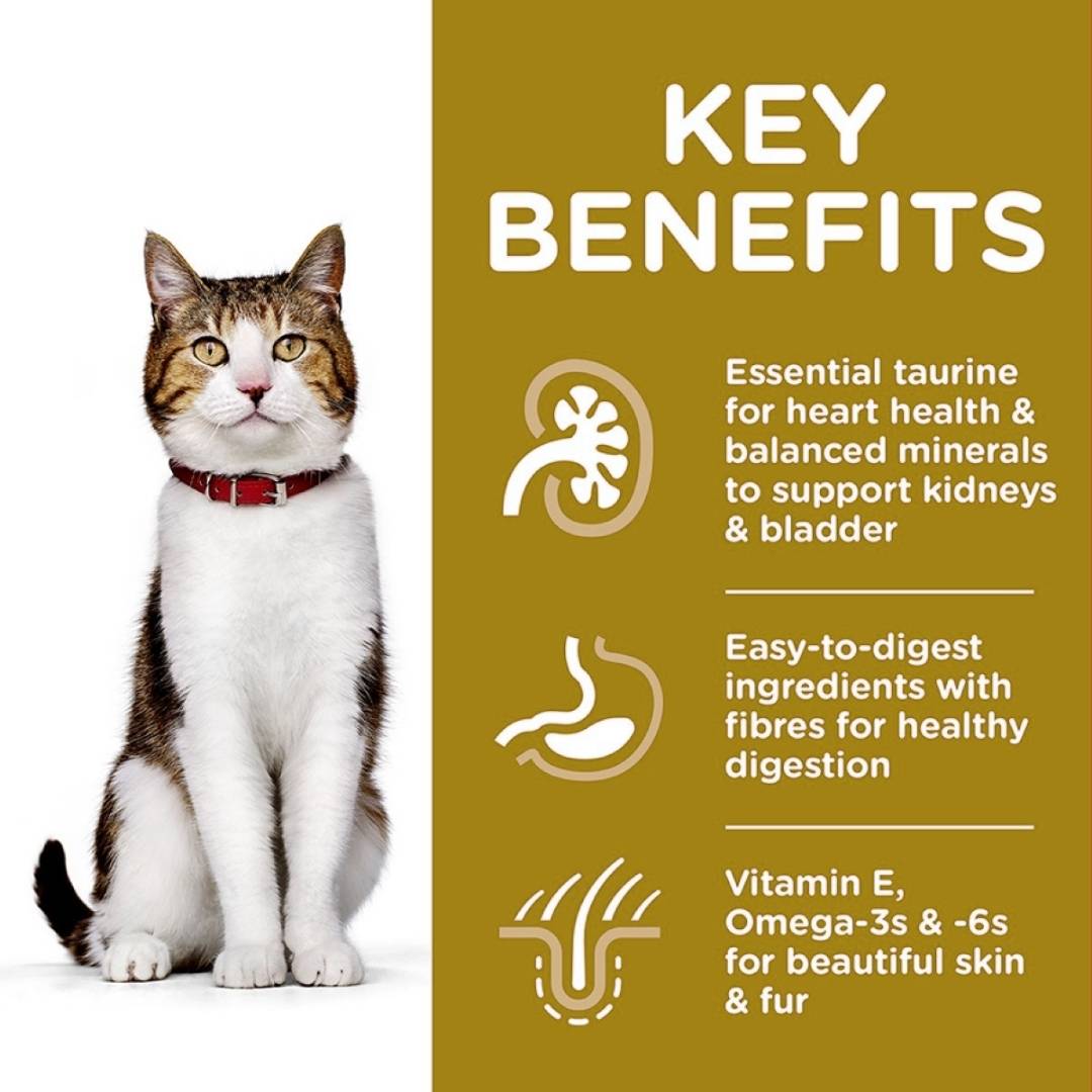 Hill's Science Plan Mature Adult 7+ Dry Cat Food (Chicken)