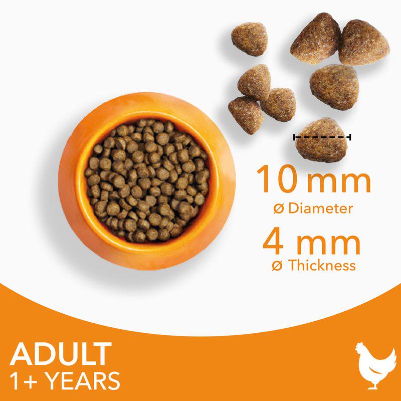 IAMS Advanced Nutrition Adult Cat with Chicken