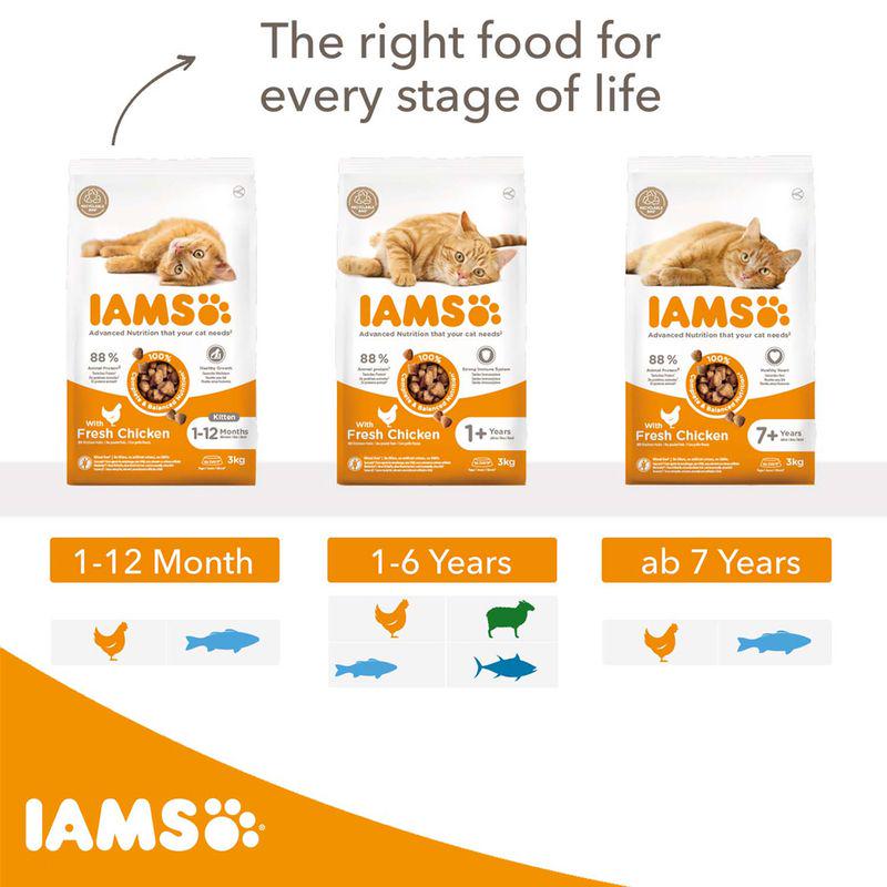 IAMS Advanced Nutrition Adult Cat with Chicken