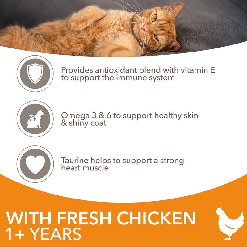 IAMS Advanced Nutrition Adult Cat with Chicken